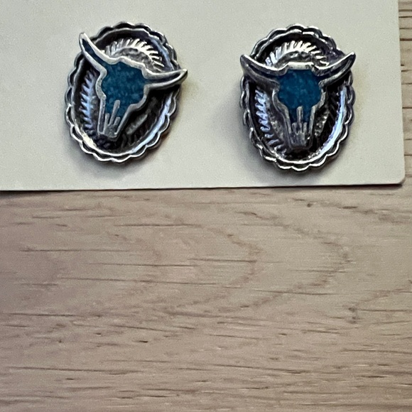 Jewelry - Silver and Turquoise Longhorn Pins